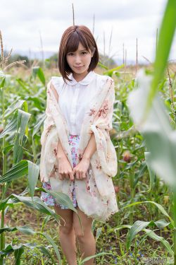 王莉的老公简历