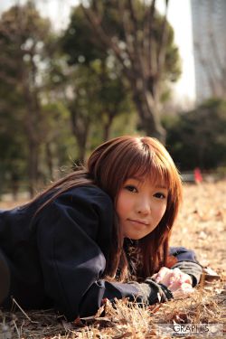 开放的美国学府