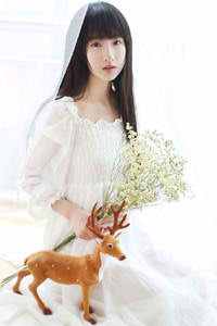 金丝雀[重生]作者:狐狸不归