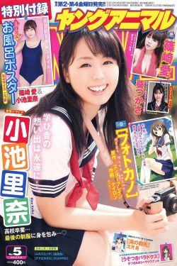 亚洲精品国产re