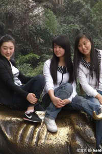 圣痕炼金士第一季樱花动漫